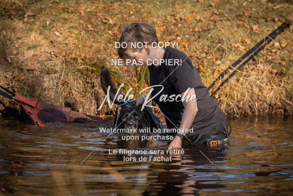 nelerasche_FS0900-1000_21 | nelerasche