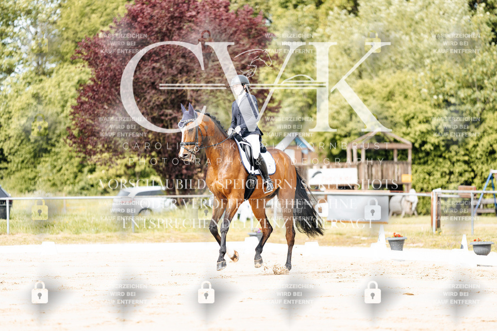 CK900693 | Turnierfotografie Pferdefotografie Trier Rheinland-Pfalz Pferdesport Reitsport Tierfotografie Sportfotografie Pferdevideo Pferdevideografie Equestrianvideography equestrianphotography  - Realisiert mit Pictrs.com