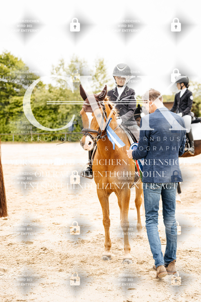 CK703666 | Turnierfotografie Pferdefotografie Trier Rheinland-Pfalz Pferdesport Reitsport Tierfotografie Sportfotografie Pferdevideo Pferdevideografie Equestrianvideography equestrianphotography  - Realisiert mit Pictrs.com