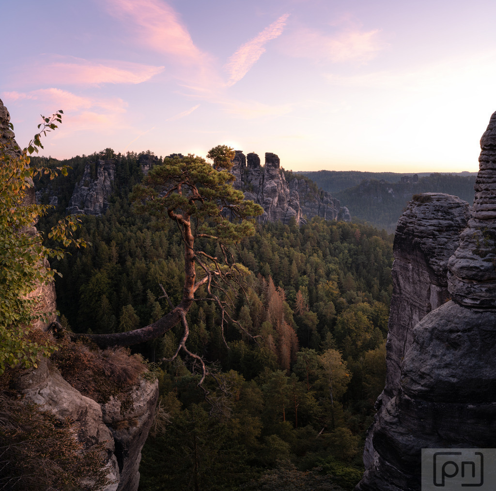 SächsischeSchweiz | Diese Bilder erzählen Geschichten von Ruhe, Erneuerung und der unvergesslichen Schönheit der Natur. Die Bastei beim Sonnenaufgang ist ein Ort, an dem Fotografie zur Kunst wird und die Magie der Landschaft in jedem Bild spürbar ist.