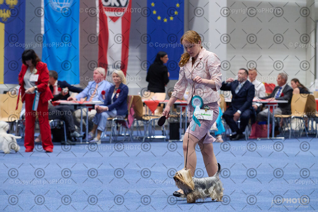 202406_ÖKV-IHA-Tulln24_DSC_2988 | proPHOTO - Realisiert mit Pictrs.com