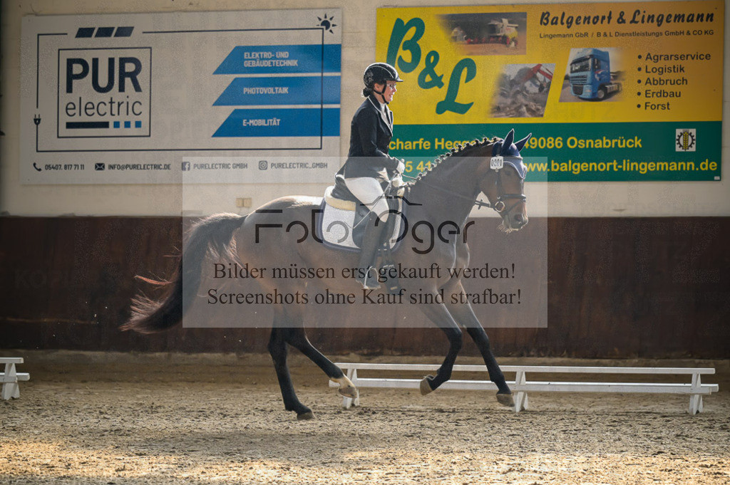 Reitturnier Voxtrup | Entdecke hochwertige Reitturnierfotos von Foto Oger. Professionell, emotional und authentisch – jetzt Lieblingsmomente im Shop bestellen.Deutschlandweite Turnierfotografie. - Realisiert mit Pictrs.com