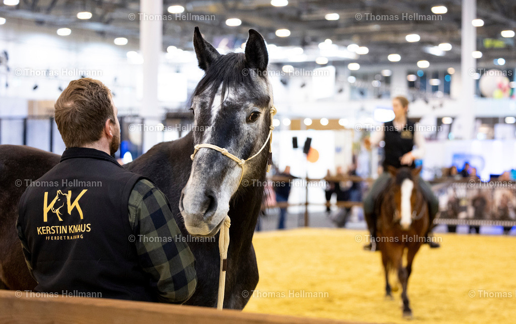 TH_Kerstin Knaus Pferdetraining_27321 | JulEQUITANA 2025 am 11.03.25 in Essen