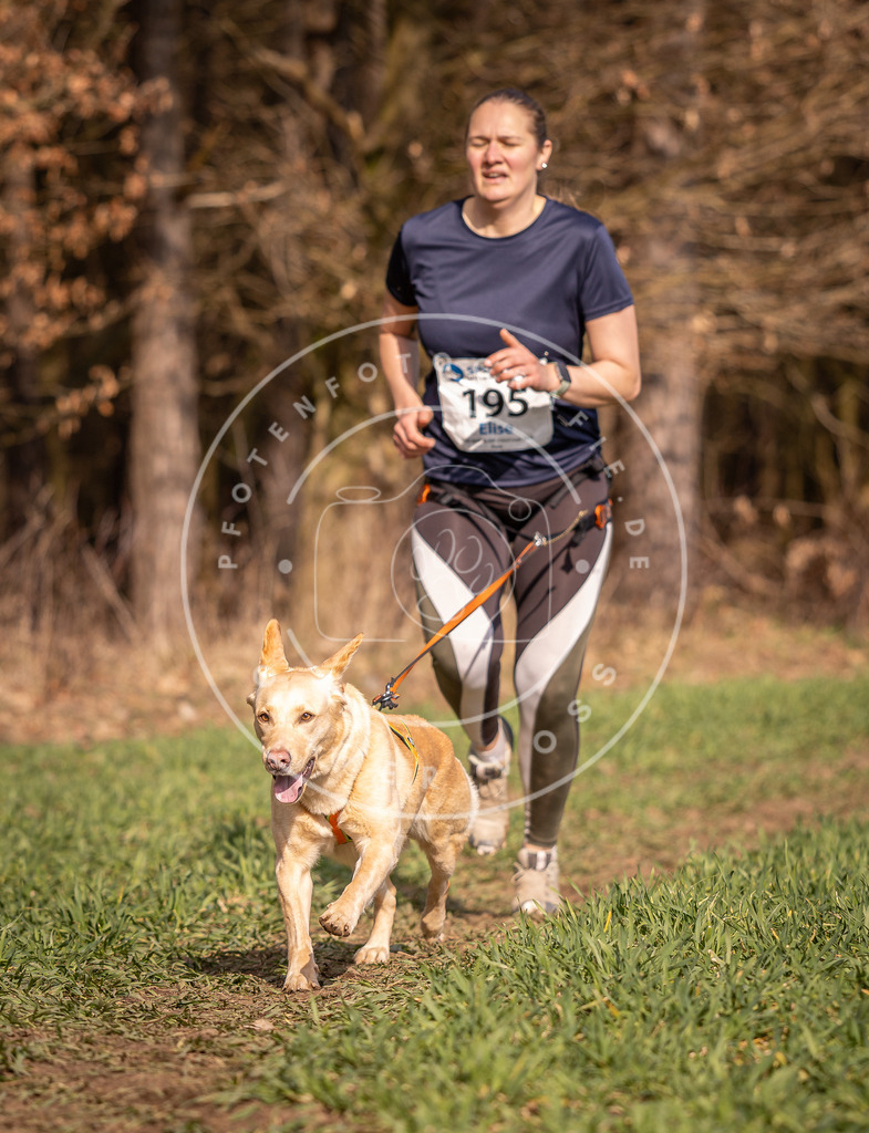 DV3A6252 | Hundefotografie, Tierfotograf, Pfotenfotografie, Fotoshooting Hund, Hunde Portrait, Hundesport, Hundeportraits, Heideshooting, Hunde, Sportfotograf, Hundefotograf, Turnierhundsport, THS,  - Realisiert mit Pictrs.com