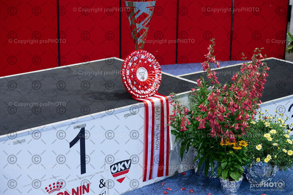 202406_ÖKV-IHA-Tulln24_DSC_5321 | proPHOTO - Realisiert mit Pictrs.com