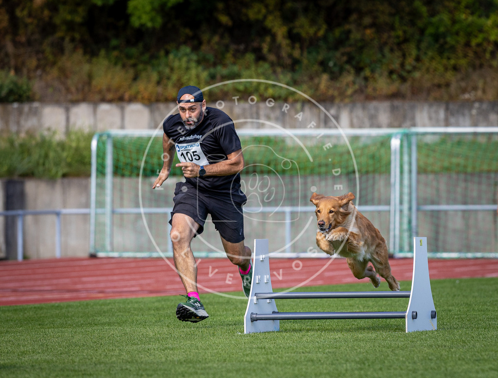 Pfotenfotografie_DV3A8131 | Hundefotografie, Tierfotograf, Pfotenfotografie, Fotoshooting Hund, Hunde Portrait, Hundesport, Hundeportraits, Heideshooting, Hunde, Sportfotograf, Hundefotograf, Turnierhundsport, THS,  - Realisiert mit Pictrs.com