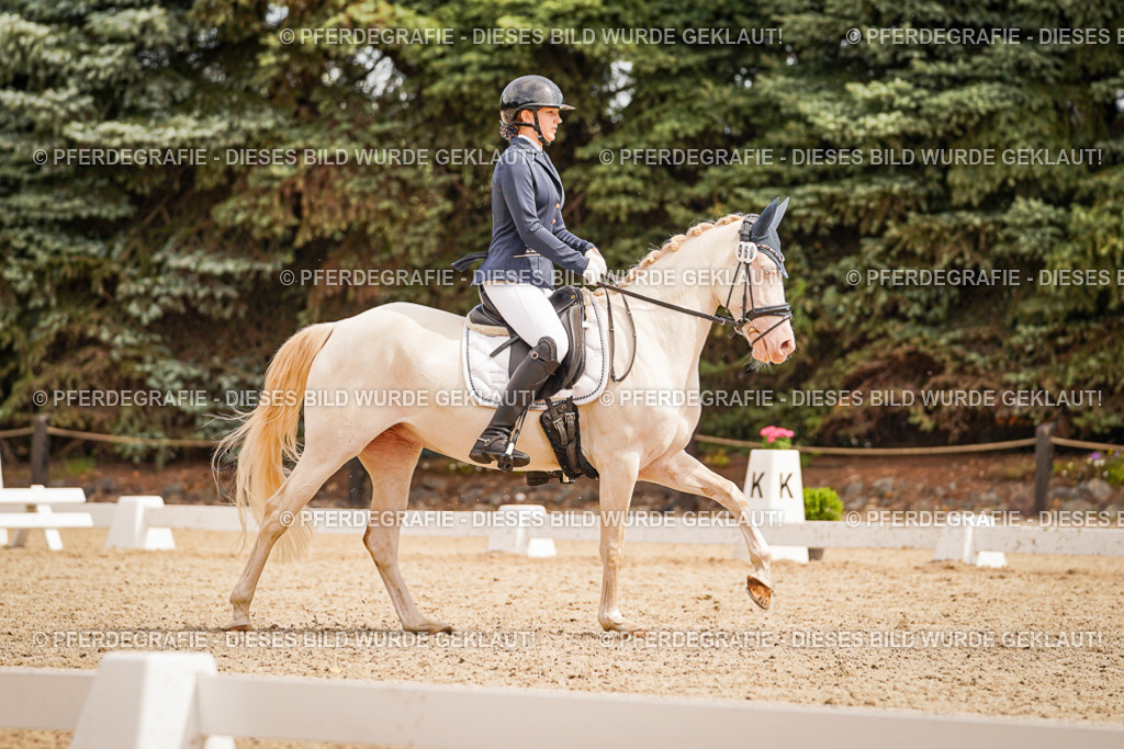 DSC01971 | Pferdegrafie