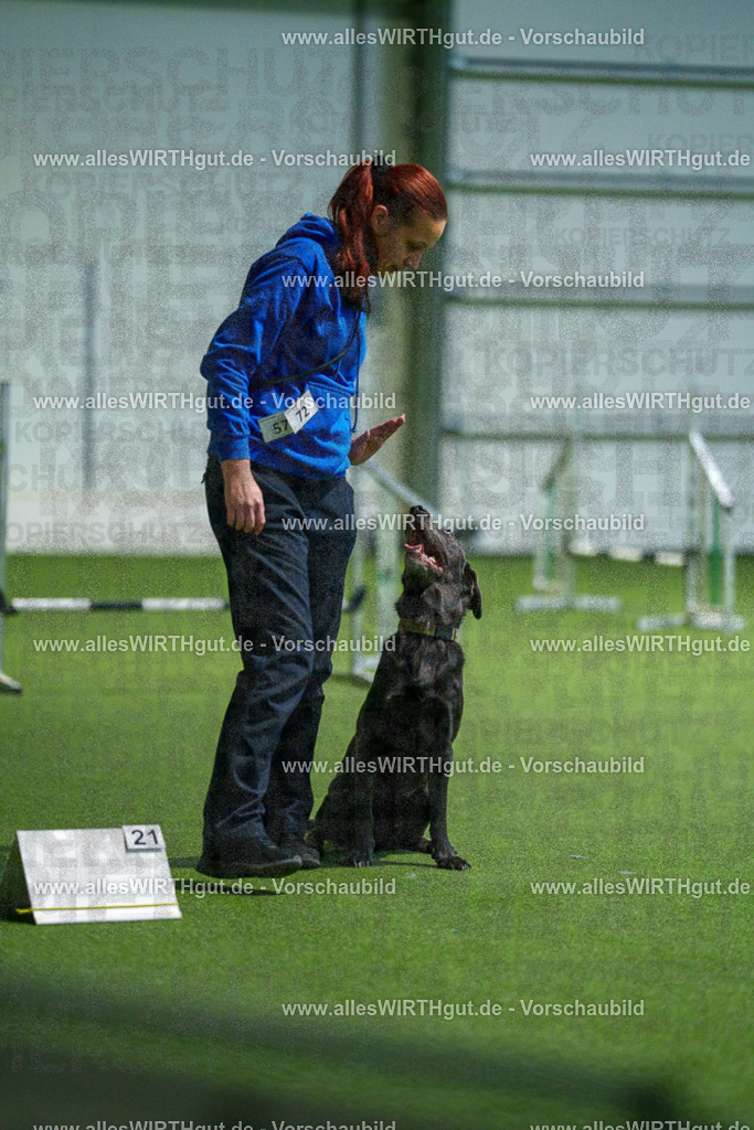 7R507051 | Professionelle Tierfotografie in Mönchengladbach von Daniel Wirth (allesWIRTHgut). Liebevolle & natürliche Bilder von Hunden & Katzen für unvergessliche Erinnerungen.