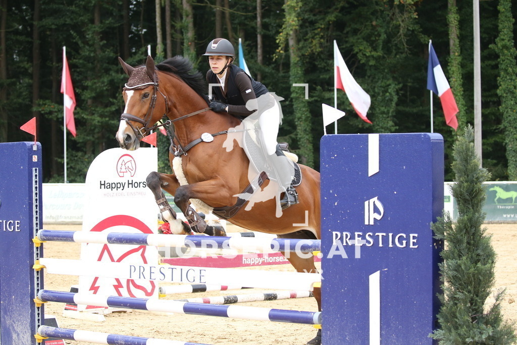 DL2Q4121 | Willkommen bei Brunnmayr - Design & Fotografie – Ihrem Spezialisten für Reitturniere und Pferdeveranstaltungen in Oberösterreich, Salzburg und Bayern! Seit über 17 Jahren sind wir leidenschaftlich dabei.