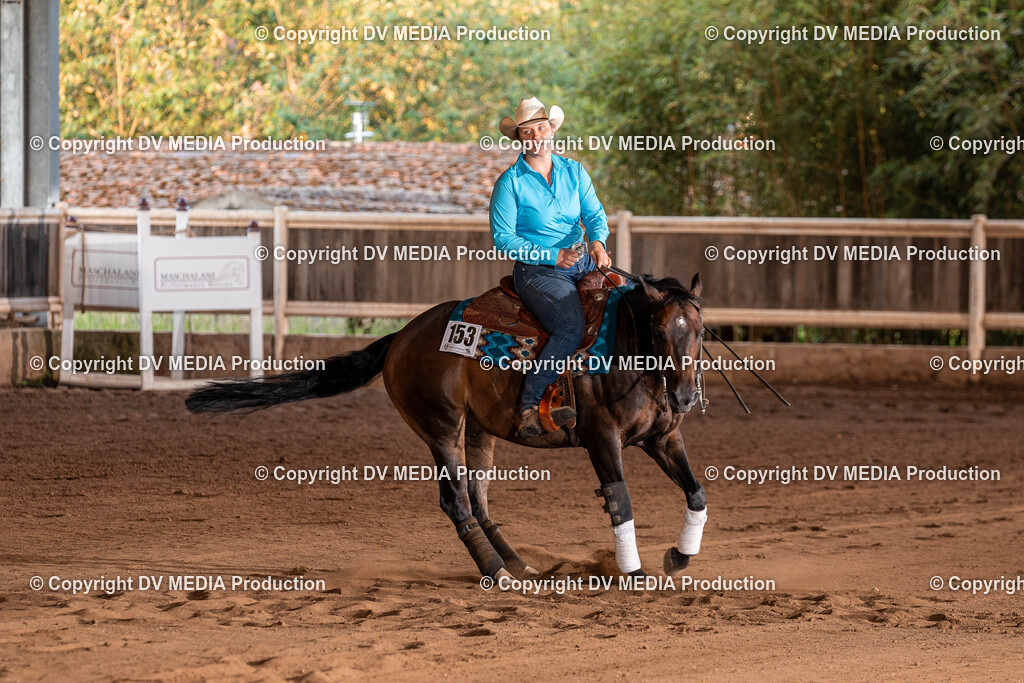 Erbach Tag 2-1281 | dv-media-shop - Realisiert mit Pictrs.com