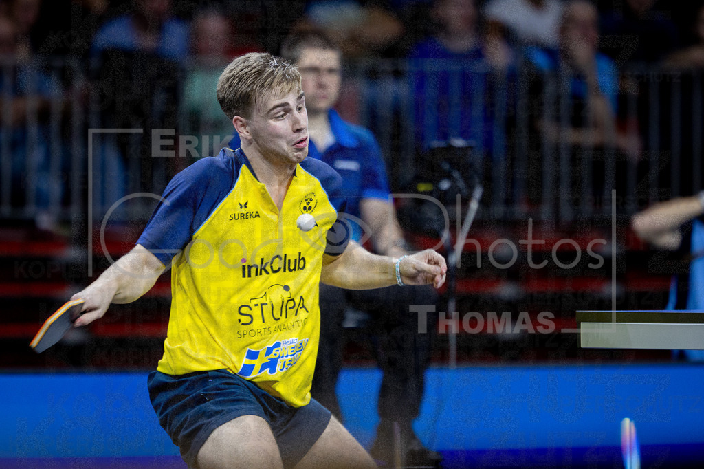European_Championships_2024-10-19_200 | good-photos - Realisiert mit Pictrs.com