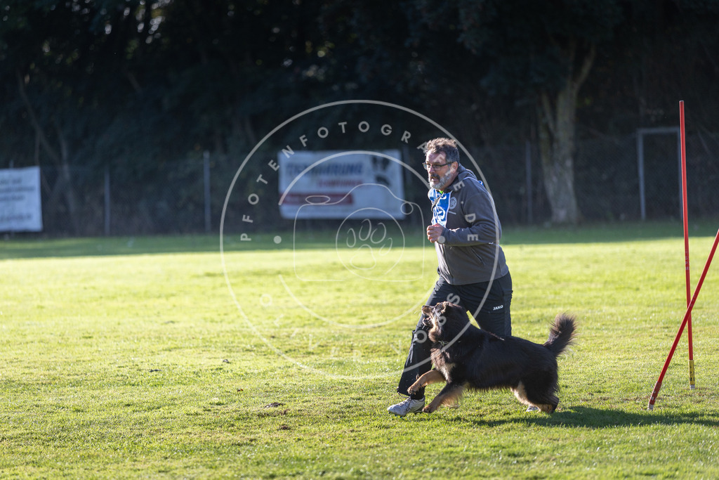 Pfotenfotografie.de_DV3A3288 | Hundefotografie, Tierfotograf, Pfotenfotografie, Fotoshooting Hund, Hunde Portrait, Hundesport, Hundeportraits, Heideshooting, Hunde, Sportfotograf, Hundefotograf, Turnierhundsport, THS, canicross - Realisiert mit Pictrs.com