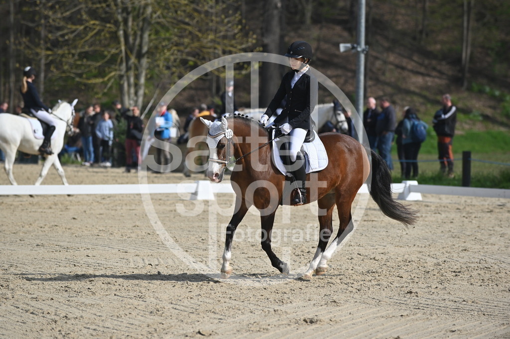 DSC_0497 | sattelsport - Realisiert mit Pictrs.com