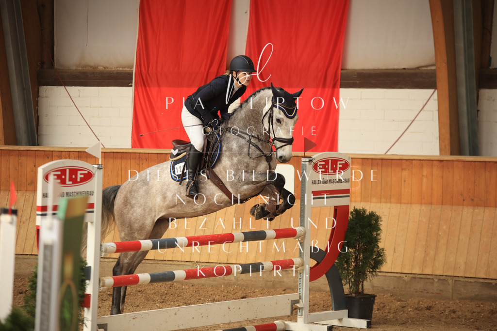 IMGT1181 | pl-fotografie