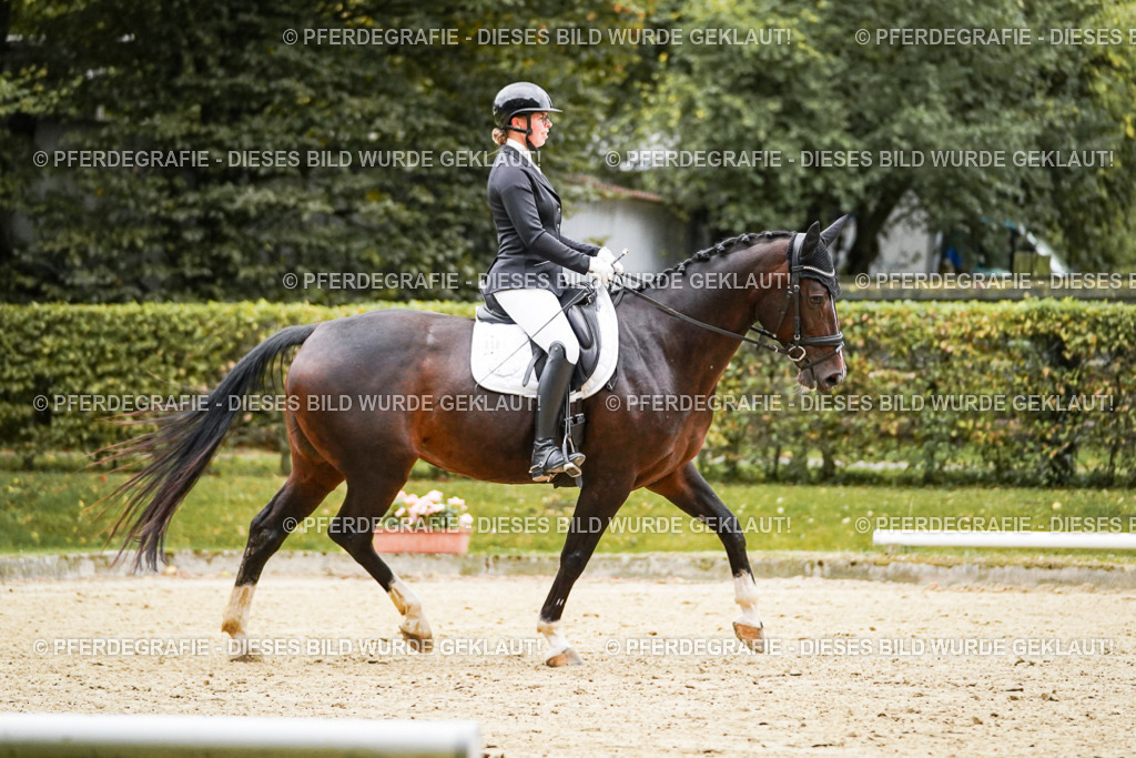 DSC06788 | Pferdegrafie