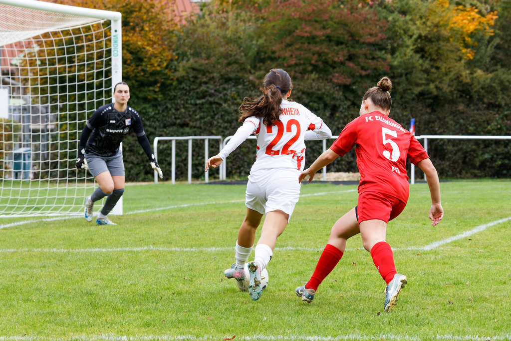 FCEFCH_251012_1843 | Fotopresso – Sportfotografie in Heidenheim & Umgebung. Professionelle Sportfotografie für unvergessliche Momente. Dynamische Action-Shots, emotionale Szenen & hochwertige Bilder. - Realisiert mit Pictrs.com