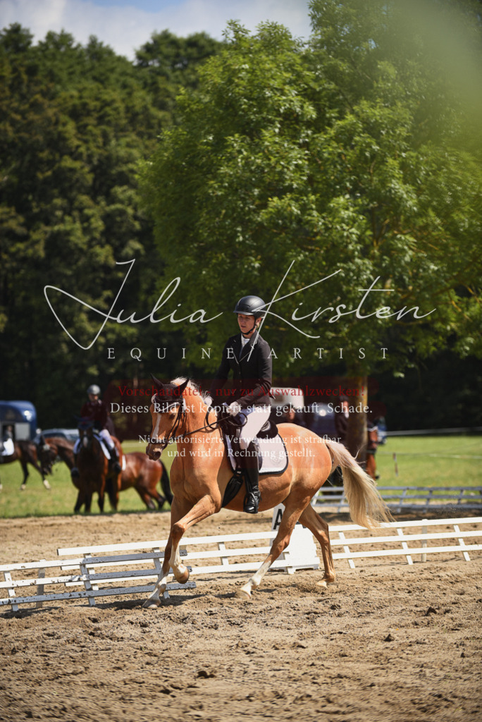 DSC_0623 | Pferde- und Turnierfotografie in Westsachsen. Pferdeportraits, Auftragszeichnungen und intuitive Kunst.