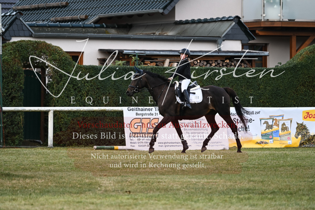 DSC_5570 | Pferde- und Turnierfotografie in Westsachsen. Pferdeportraits, Auftragszeichnungen und intuitive Kunst.