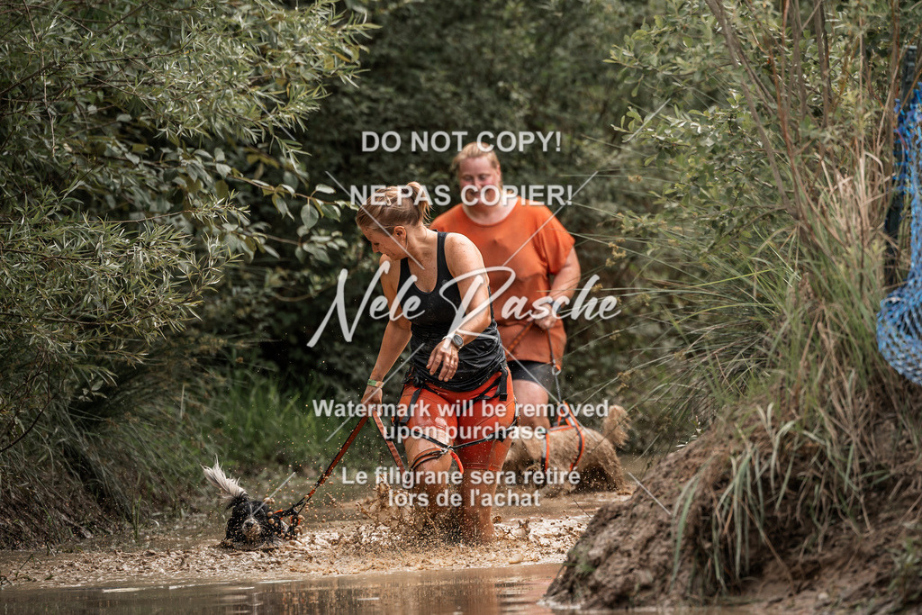 nelerasche_Hoope2026_So1030-1100_178 | nelerasche