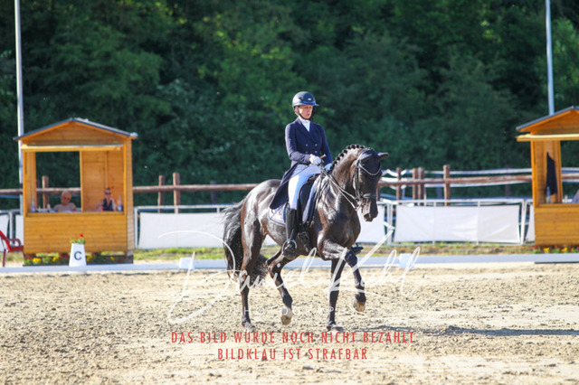 DKP42826 | Turniersportfotografie; Pferdefotografie; Dressurfotografie