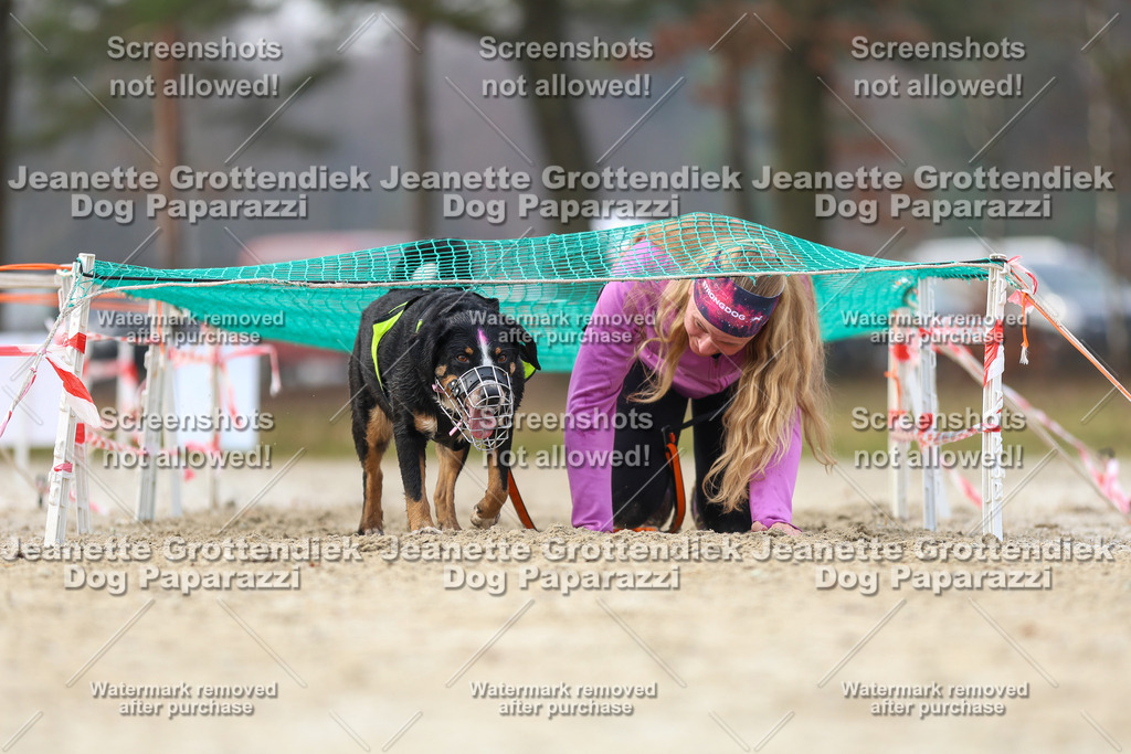 Dog Paparazzi - Strongdog North Mrz26-4297 | Dog Paparazzi Jeanette Grottendiek Fotografie & Videografie - Realisiert mit Pictrs.com