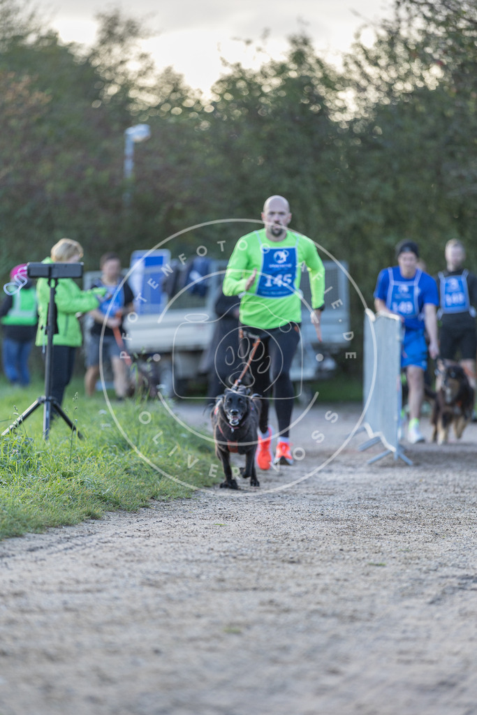 Pfotenfotografie.de_DV3A2775 | Hundefotografie, Tierfotograf, Pfotenfotografie, Fotoshooting Hund, Hunde Portrait, Hundesport, Hundeportraits, Heideshooting, Hunde, Sportfotograf, Hundefotograf, Turnierhundsport, THS, canicross - Realisiert mit Pictrs.com