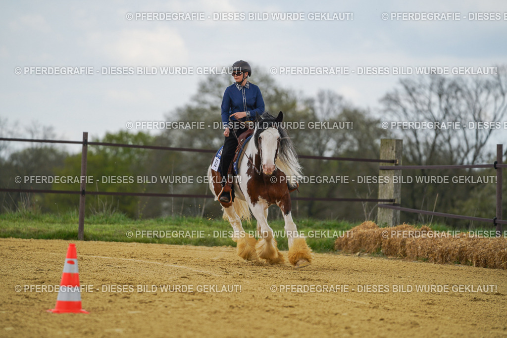 DSC05991 | Pferdegrafie