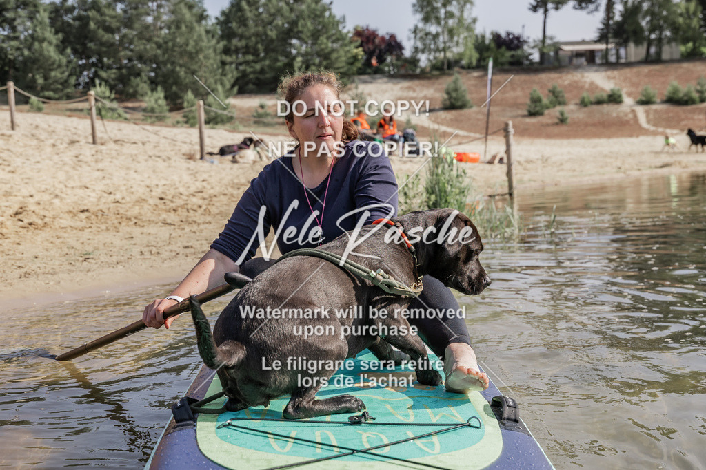 BUHU_SUP_088 | nelerasche