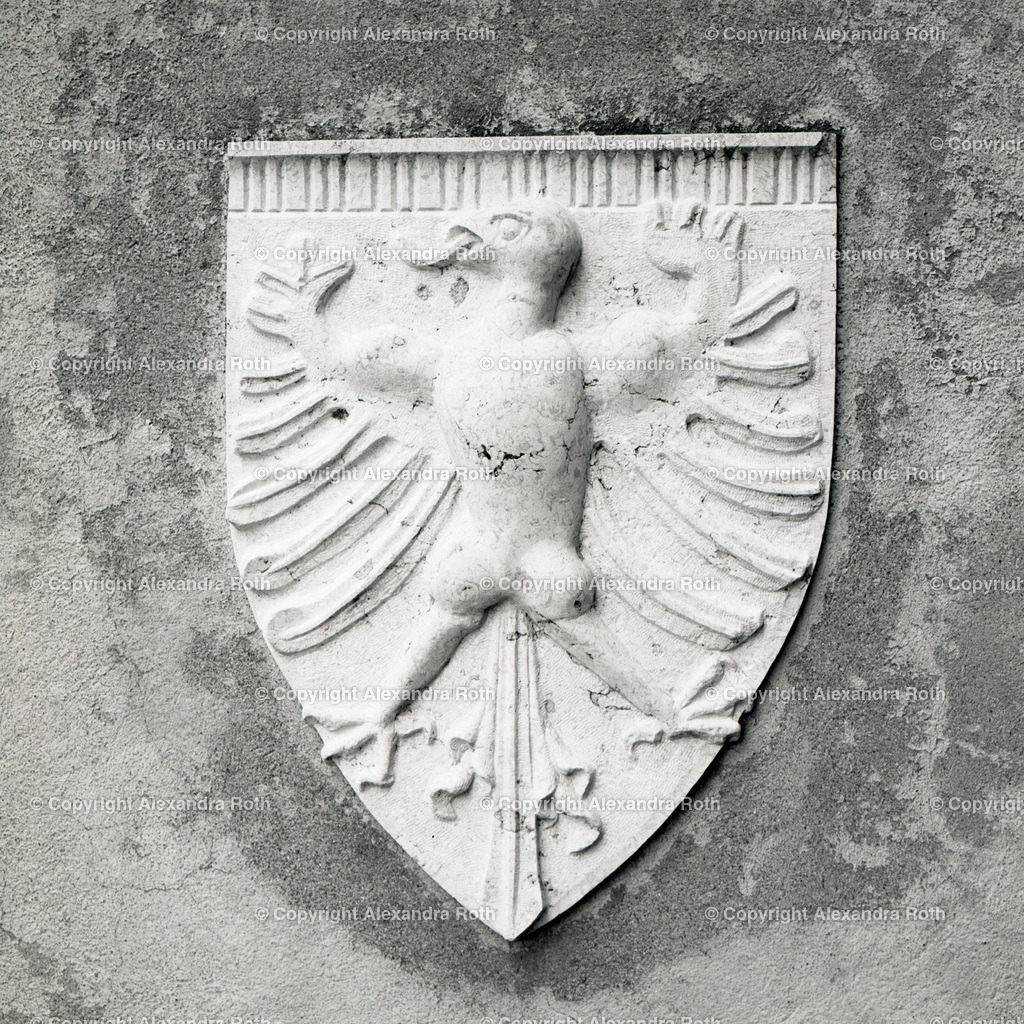 Aarau_0376 | onlineshop - Realisiert mit Pictrs.com