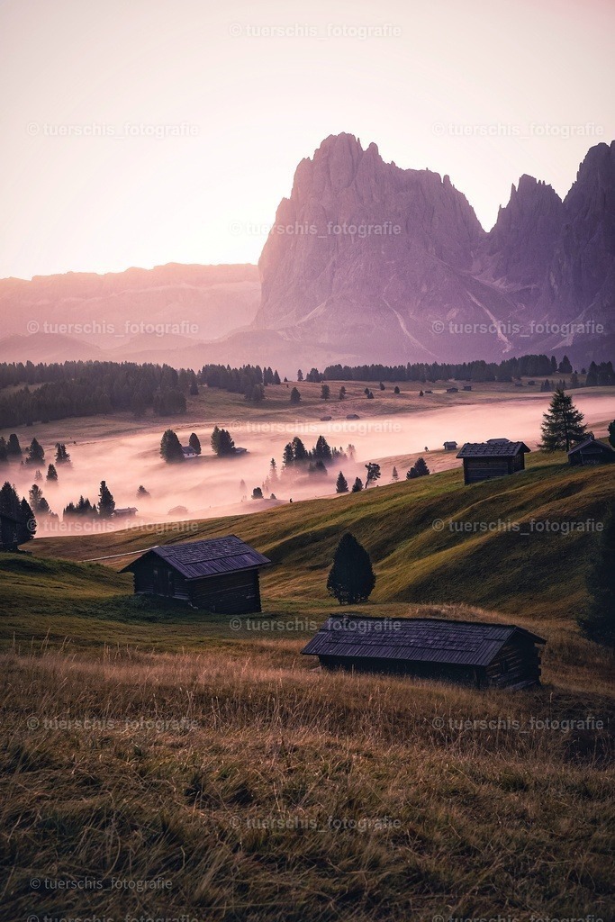 _DSC4953-01 | tuerschis_fotografie - Realisiert mit Pictrs.com