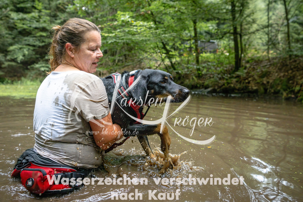 1536_ZZ91386-Bearbeitet | kk-dogfotos