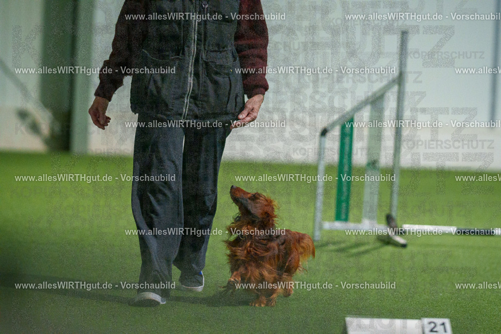 7R506902 | Professionelle Tierfotografie in Mönchengladbach von Daniel Wirth (allesWIRTHgut). Liebevolle & natürliche Bilder von Hunden & Katzen für unvergessliche Erinnerungen.