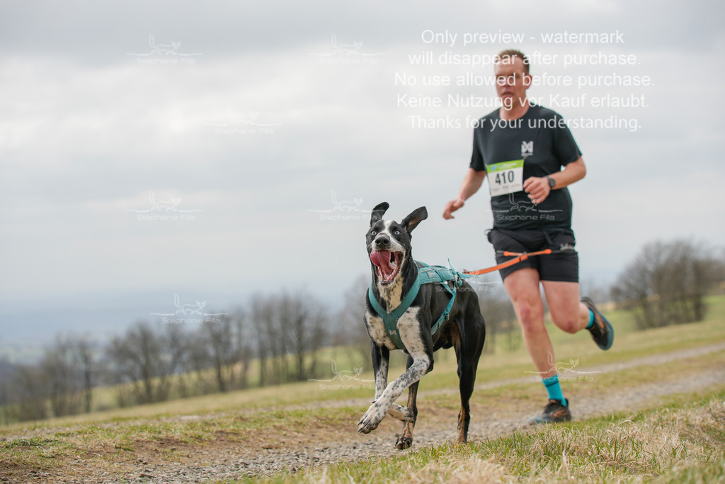 CaniXRunSA-53 | stephaniefillaphotographie - Realisiert mit Pictrs.com