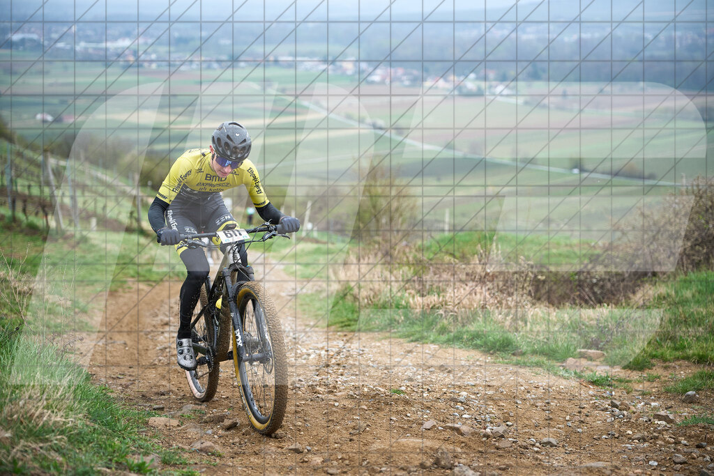 34. KTM Kamptal Trophy  | ZÖBING, Österreich – 2026-03-29: 34. KTM Kamptal TrophyFoto: © 2026 Martin Bihounek - MB Creative e.U.