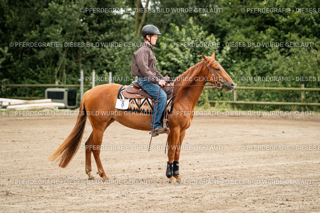 DSC04793 | Pferdegrafie