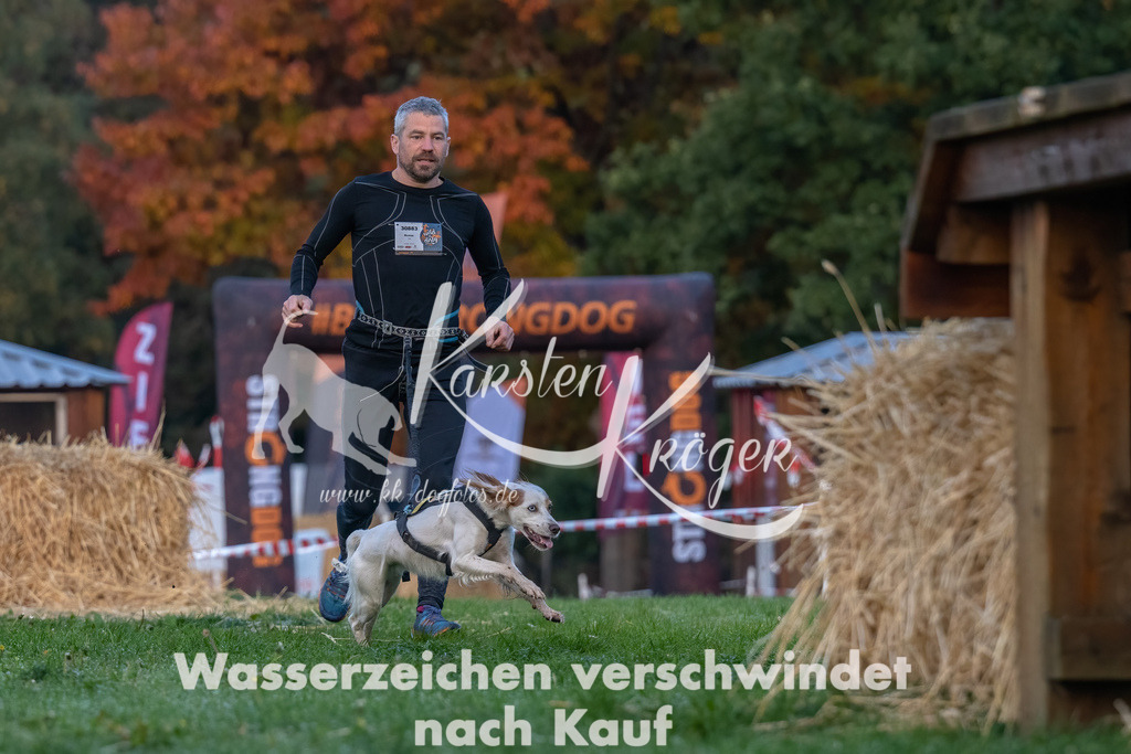 0819_ZZ90383-Bearbeitet | kk-dogfotos