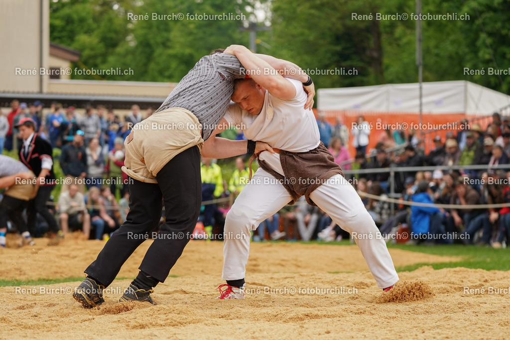 20220508-DSC05375 (2)-2 | René Burch leidenschaftlicher Fotograf aus Kerns in Obwalden.  Hier finden sie Sport, Landschaft und Natur Fotografie.
 - Realisiert mit Pictrs.com
