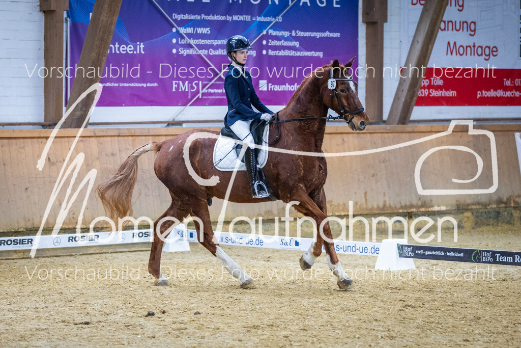 Sth-WBO25-EDr-131 | MomenTaufnahmen Pferdesportfotos