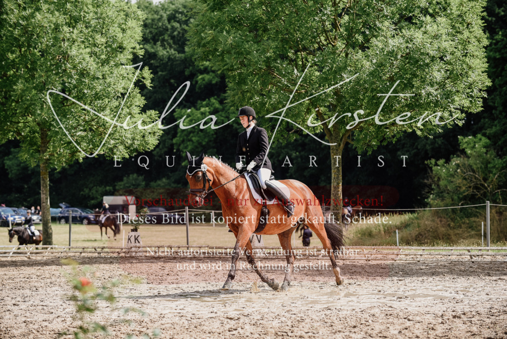 DSC_9783 | Pferde- und Turnierfotografie in Westsachsen. Pferdeportraits, Auftragszeichnungen und intuitive Kunst.