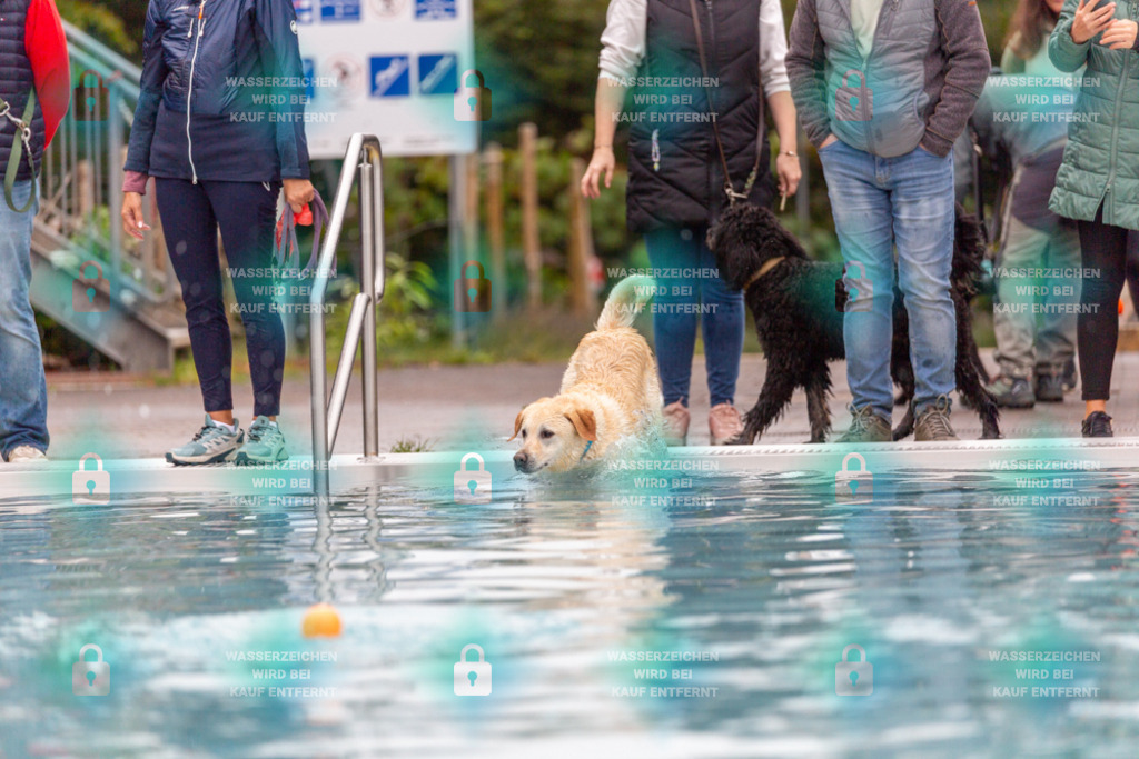 _HP_7163_1000o | HetPix, HetPix Fotodesign, Fotografie, Fotodesign, Webshop, Sportfotografie, Portraitfotografie, Onlineshop, Sportfotografie, Polch, Motorsportfotografie, Eventfotografie