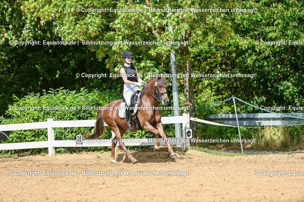 20230716_01_Dressurprüfung Kl.M_0339 | equistock