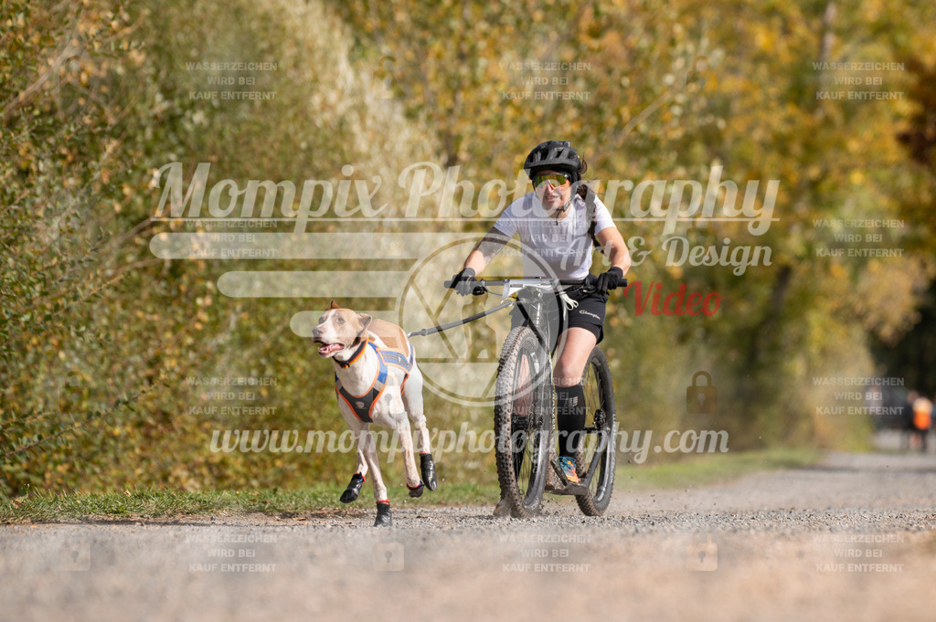 TSB_2023_E2_DS1-2 | MompixPhotography