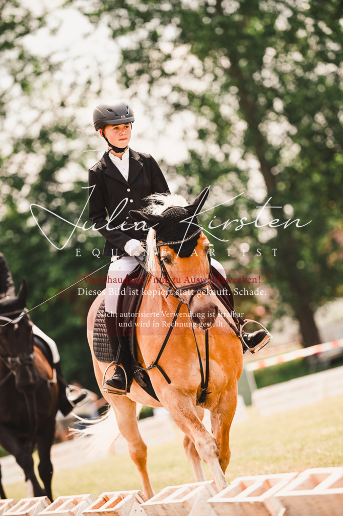 DSC_6176 | Pferde- und Turnierfotografie in Westsachsen. Pferdeportraits, Auftragszeichnungen und intuitive Kunst.