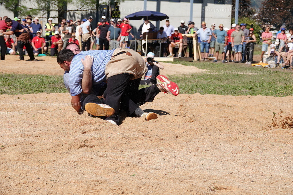 DSC01727 | Schwingen - Realisiert mit Pictrs.com