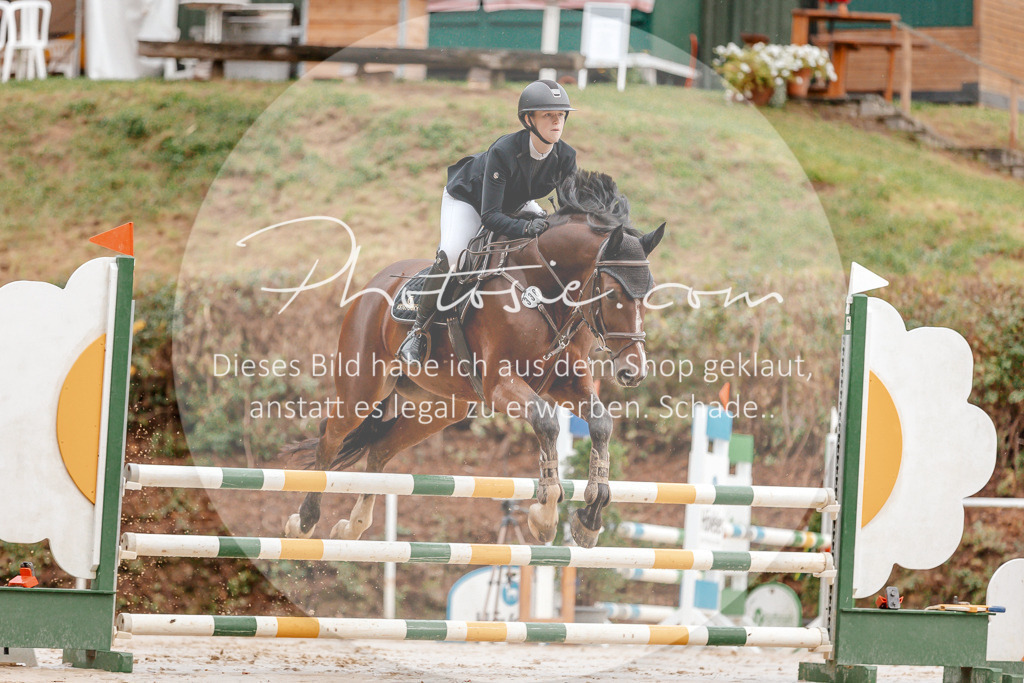 3I6A5559 | Stimmungsvolle Portraits und Reitsportfotografie im Ruhrgebiet und im Münsterland.

Pferdefotografie, Hundefotografie, Tierfotografie, Reportagen, Portraits von Tier und Mensch, Turnierfotografie in Bochum, Recklinghausen, Marl, Haltern am See, Dülmen.. - Realisiert mit Pictrs.com