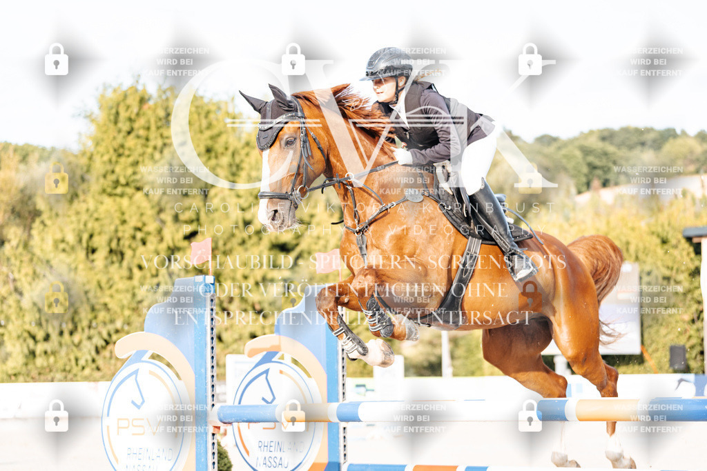 CK903297 | Turnierfotografie Pferdefotografie Trier Rheinland-Pfalz Pferdesport Reitsport Tierfotografie Sportfotografie Pferdevideo Pferdevideografie Equestrianvideography equestrianphotography  - Realisiert mit Pictrs.com