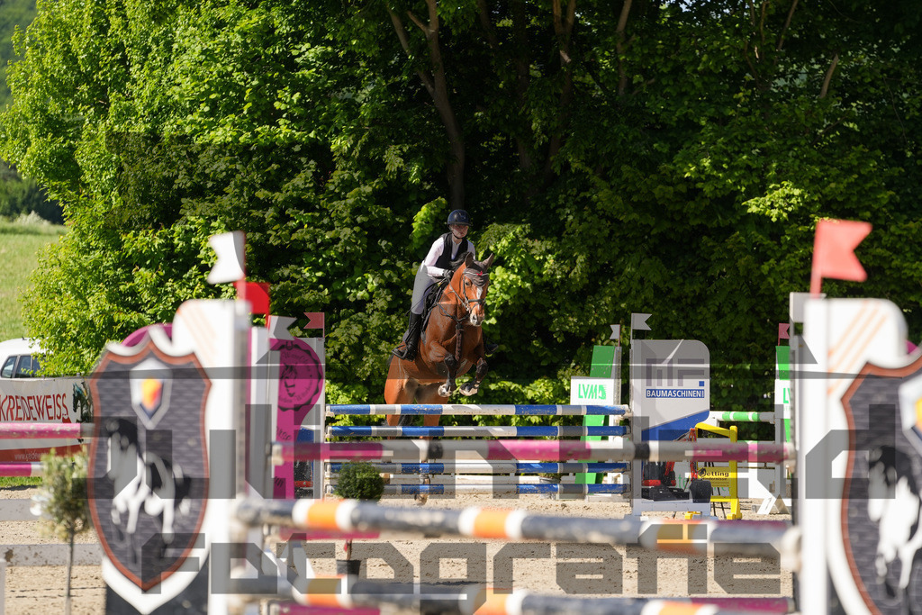 DSC02428 | Julian Held Fotografie - Realisiert mit Pictrs.com