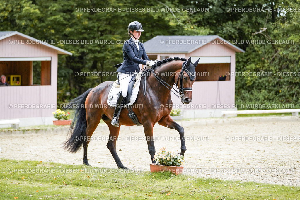 DSC02005 | Pferdegrafie