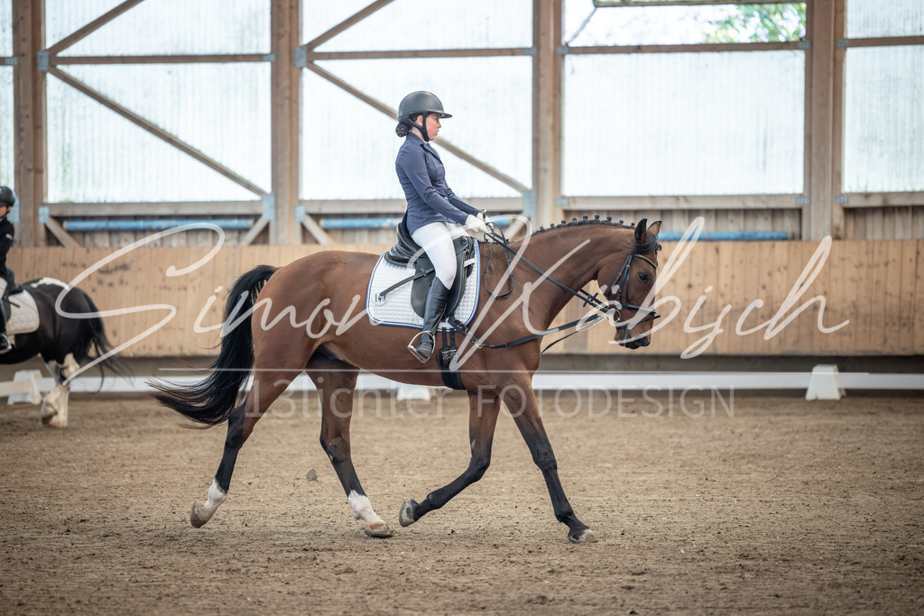 20251011-_3LI7563 | Tierfotografie Pferde, Hunde, Katzen, Haustiere.
Turnierfotografie Reitturniere, Reiten, Springreiten, Dressur in Hanau, dem Main-Kinzig-Kreis und dem Rhein-Main- Gebiet um Frankfurt