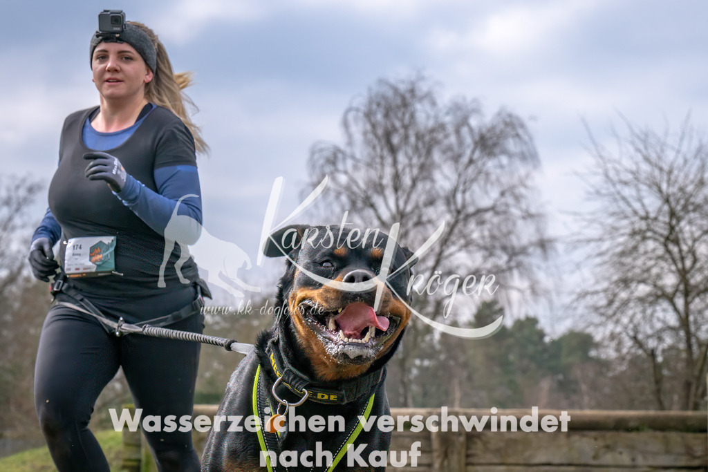 _ZZ91969-Bearbeitet | kk-dogfotos